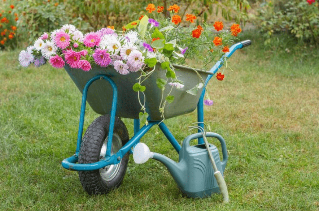 Step Up Your Gardening Game: Wheelbarrow Sale to Boost Your Yard Work Efficiency