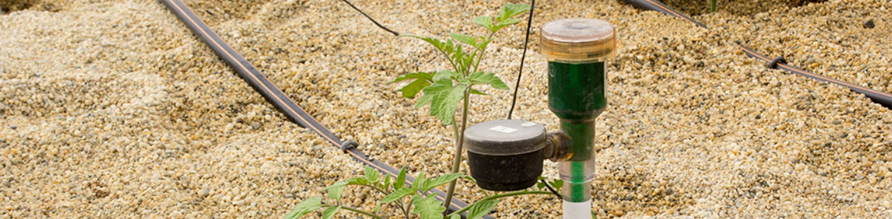 What is a Shear Test, and Why Is It Important?