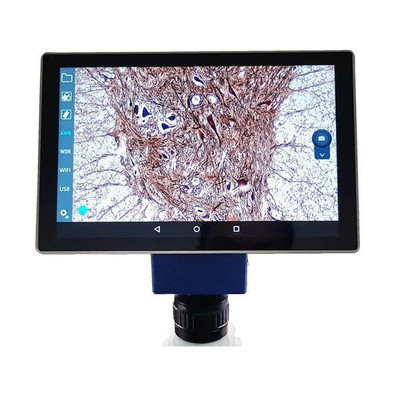 VELAB Microscope Tablet With Digital Camera | Lab Microscopes ...