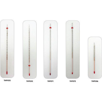 Trident Economy Watchband Thermometer Farenheit