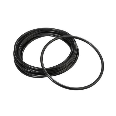 Ohaus O-ring, Rack of 250ml Rotor, 10/pk | CMTP