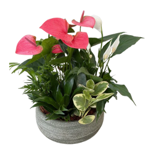 Tropical  Ceramic Planter