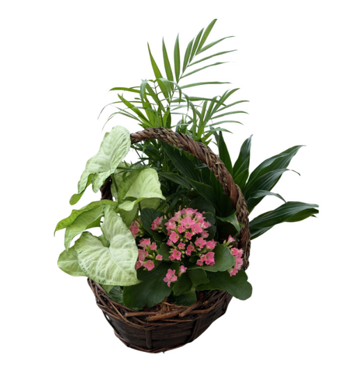 Large Brown Tropical Basket