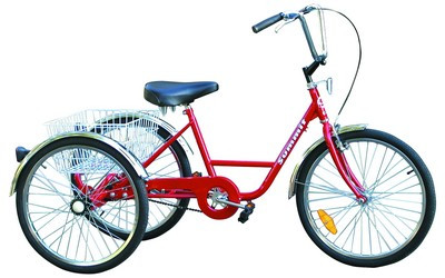 エクスペリメンタル・ミュージック フリードリッヒ・ローベル SUMMIT Adult Trike 3-Speed Coaster Brake with Rear Basket & Fenders
