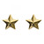 Trik Topz Valve Caps SV Gold Stars, Gold
