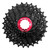 Sunrace CS-RX1 Cassette Black/Chrome 11-36t, 11,12,13,15,17,19,21,24,28,32,36, 360g