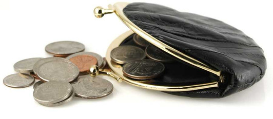 Eel Skin Kiss Lock Change Purse-Open