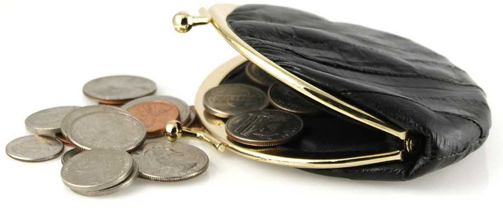 Eel Skin Kiss Lock Change Purse-Open