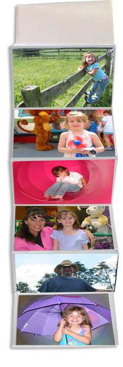 Plastic Wallet Insert holds pictures too.