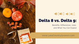  Delta 8 vs. Delta 9: Benefits, Differences, Uses and What You Can Expect 