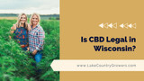  Is CBD Legal in Wisconsin? 