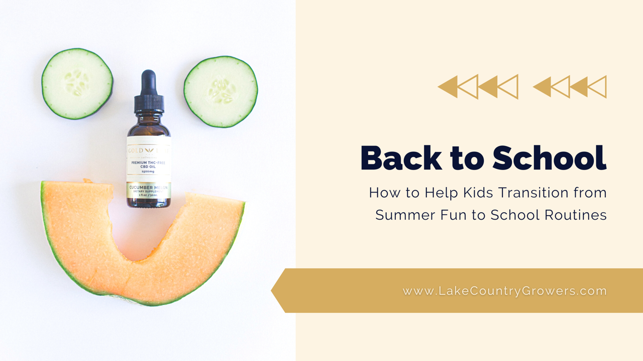Back to School: How to Help Kids Transition from Summer Fun to School ...