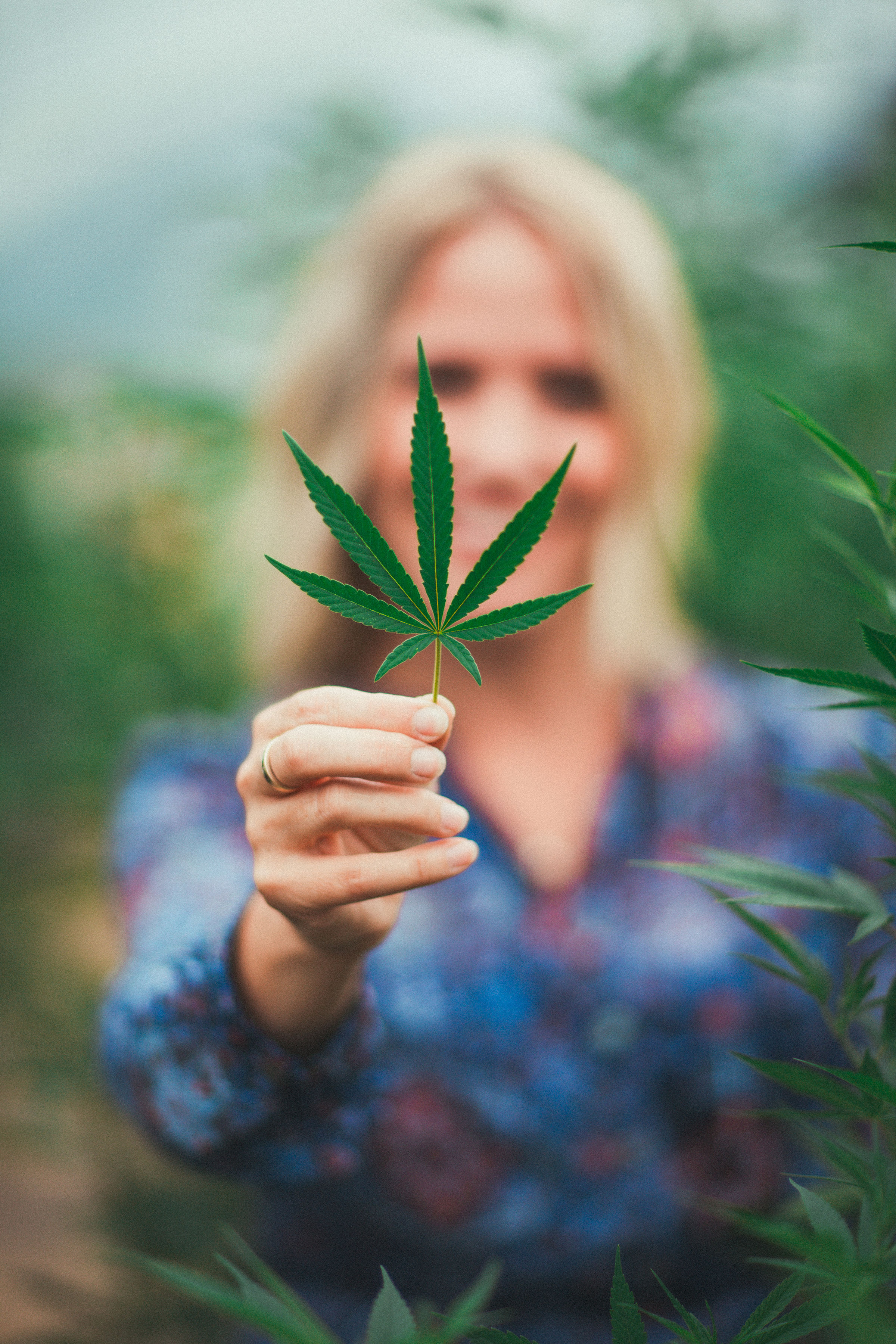 Lake Country Growers organically grown hemp