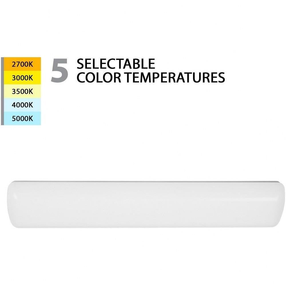 WS-236-CS-WT | 