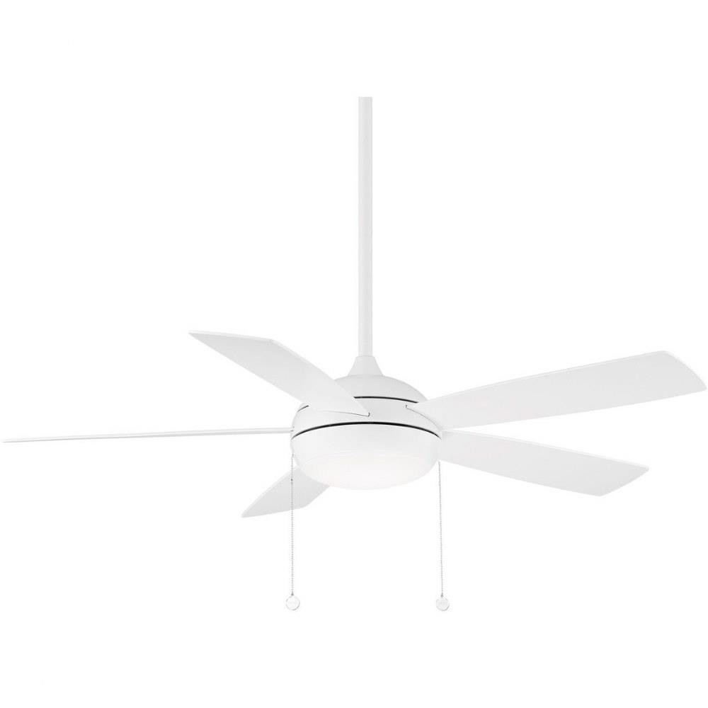 F-033L-MW | 