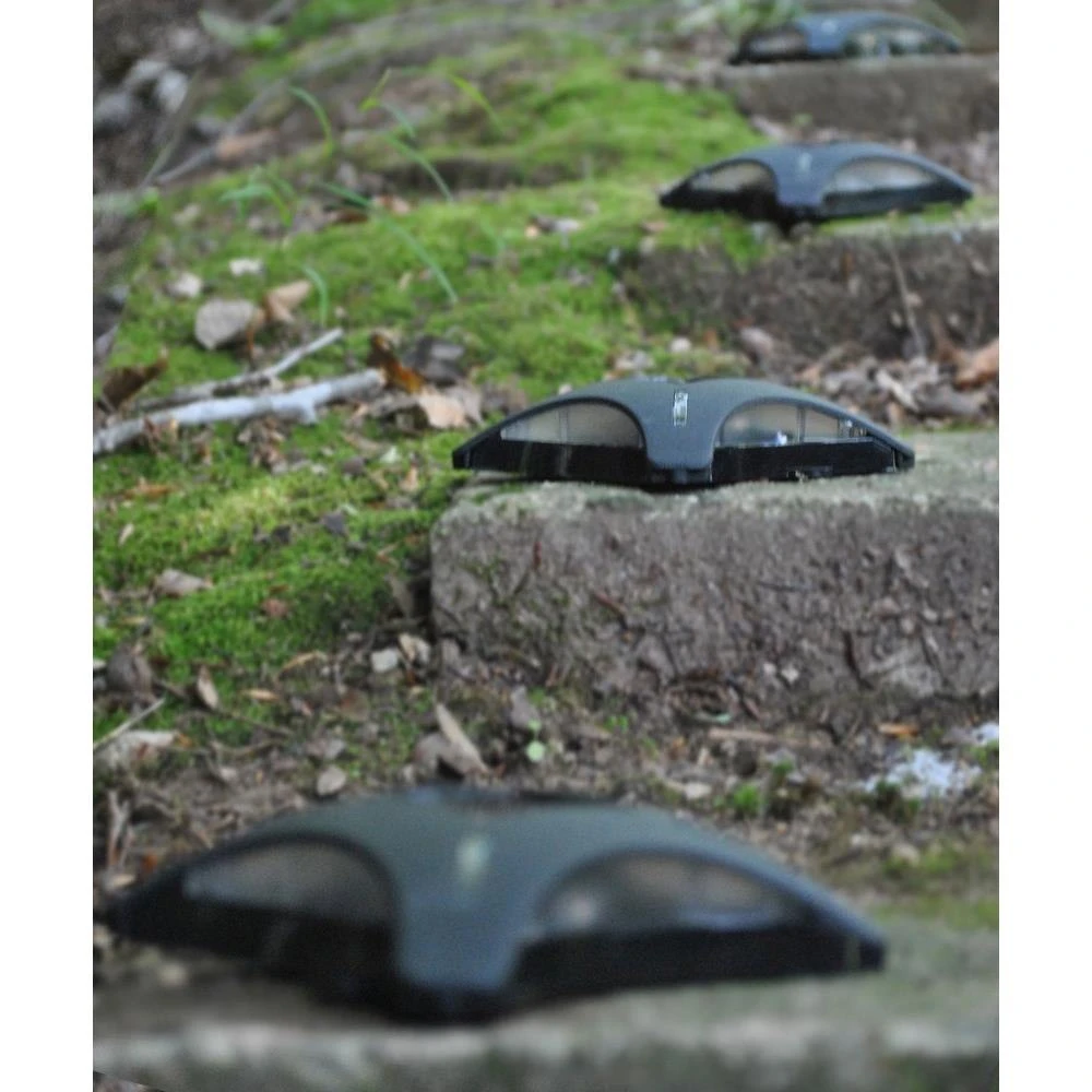 {"pim_id":"416_47335_1_1k","sku":"416_47335","media_type":"media"}