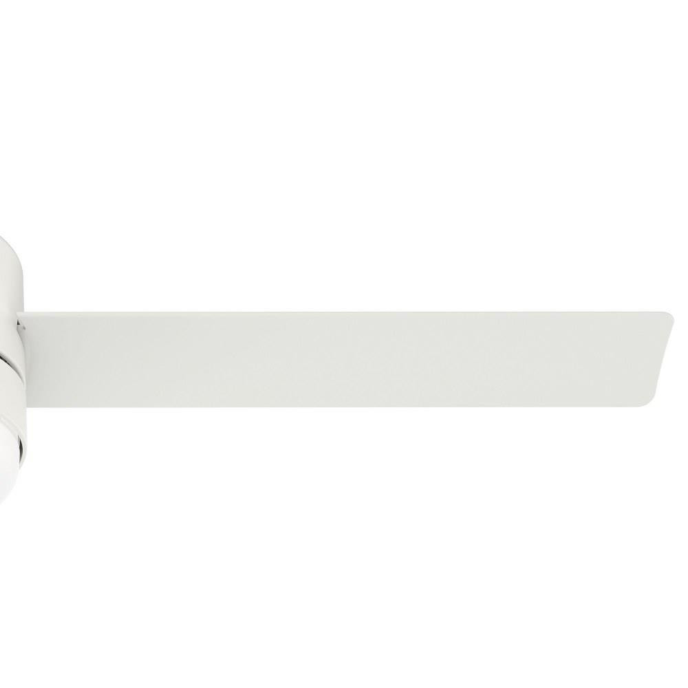 51588 | detail
