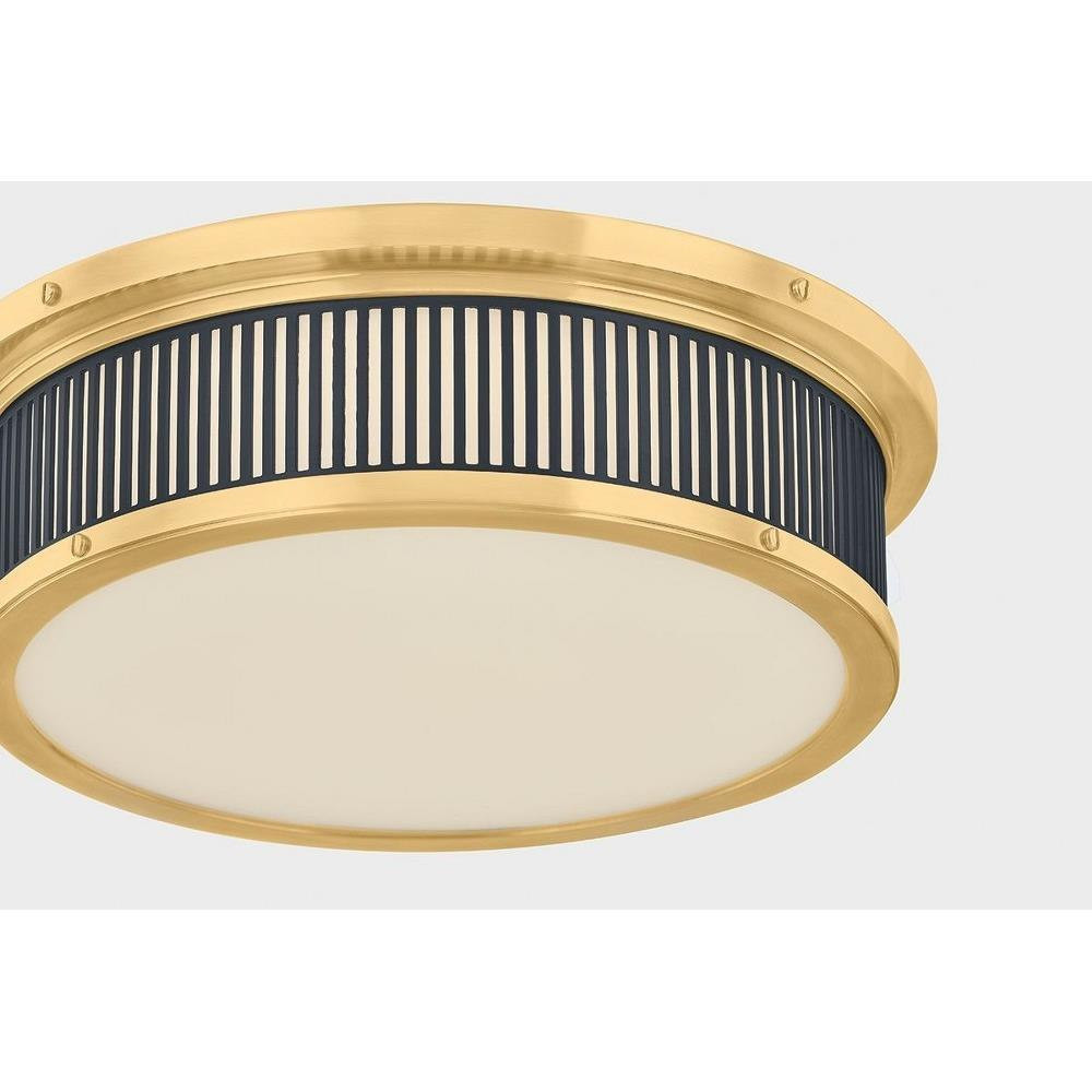 MDS1901-AGB/DBL | detail