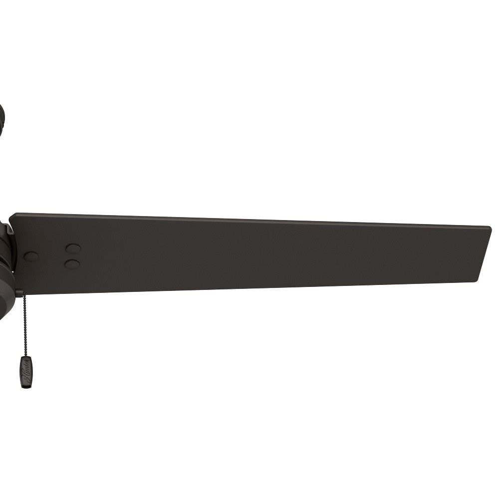 50257 | detail