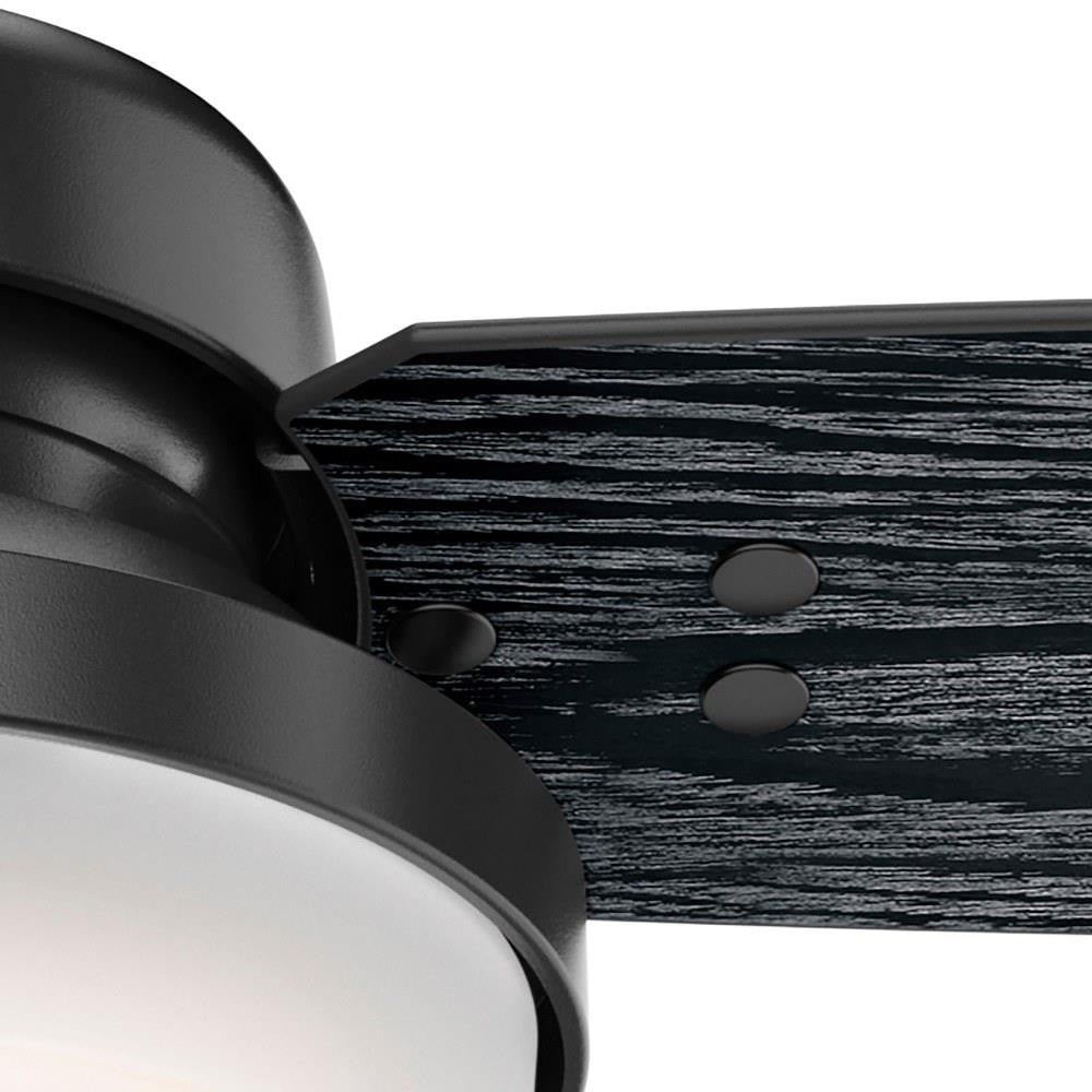 50285 | detail