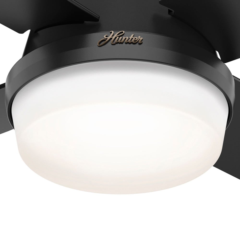 {"pim_id":"166_50400_product_detail_1_new_2k","sku":"166_1000949","media_type":"media"}