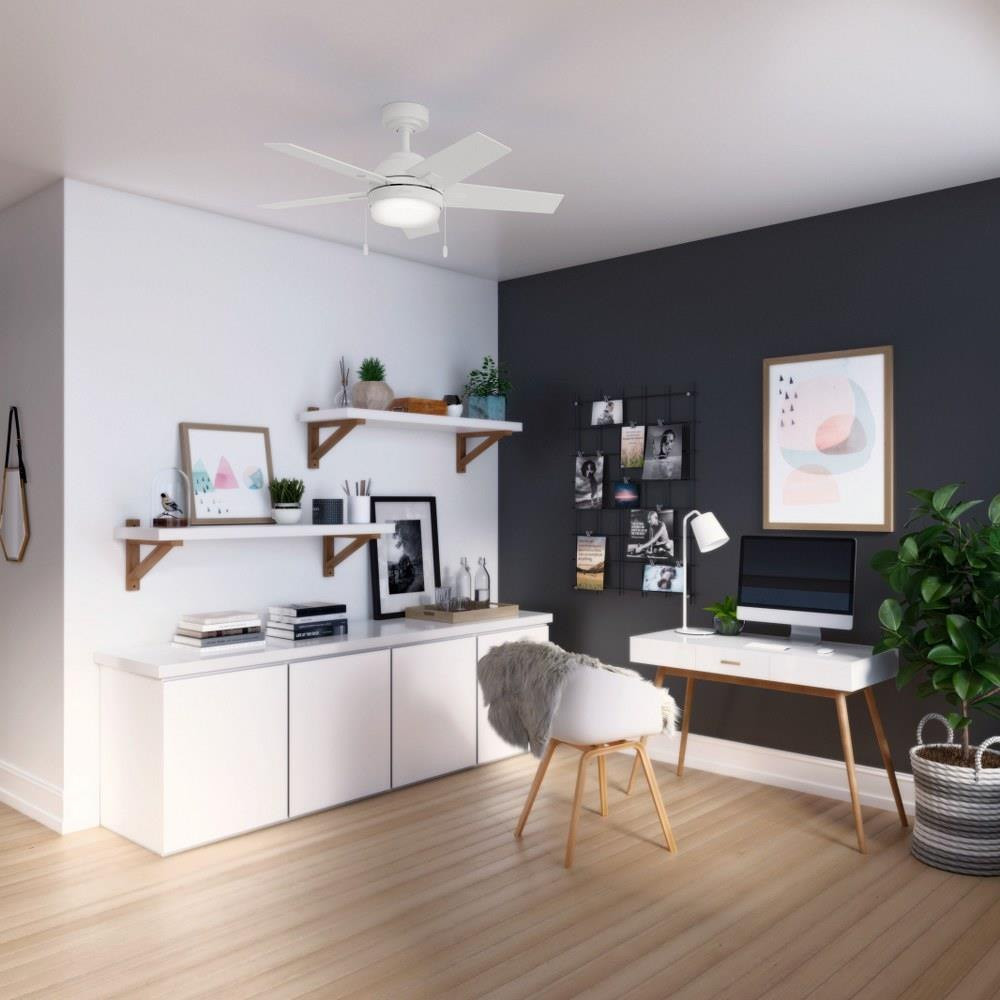 50592 | lifestyle