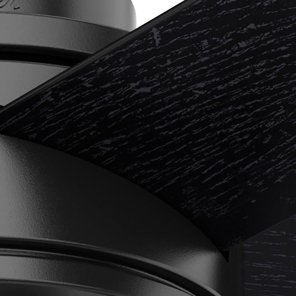 50593 | detail