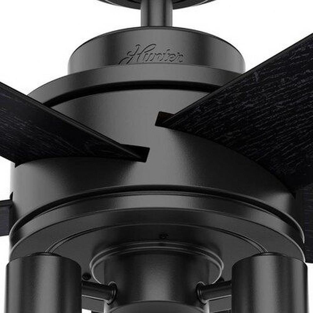 50593 | detail