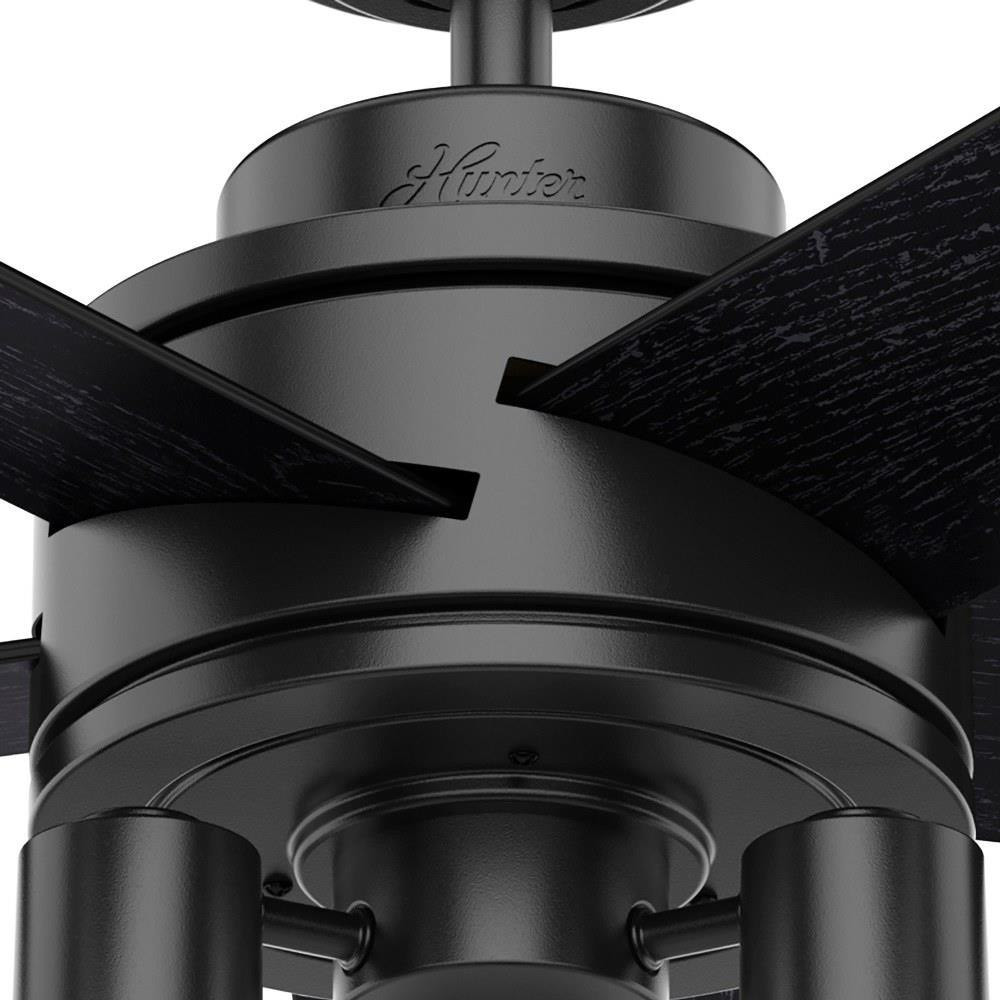 50593 | detail