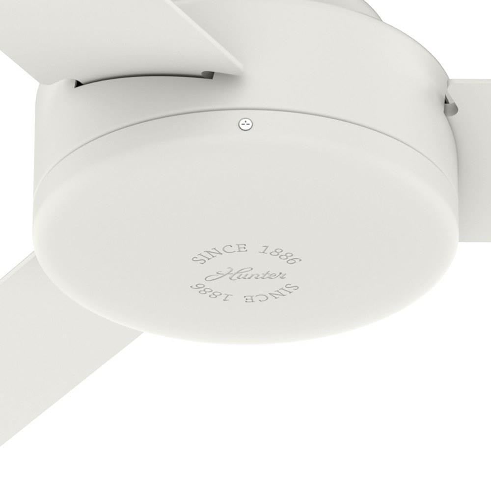 50811 | detail