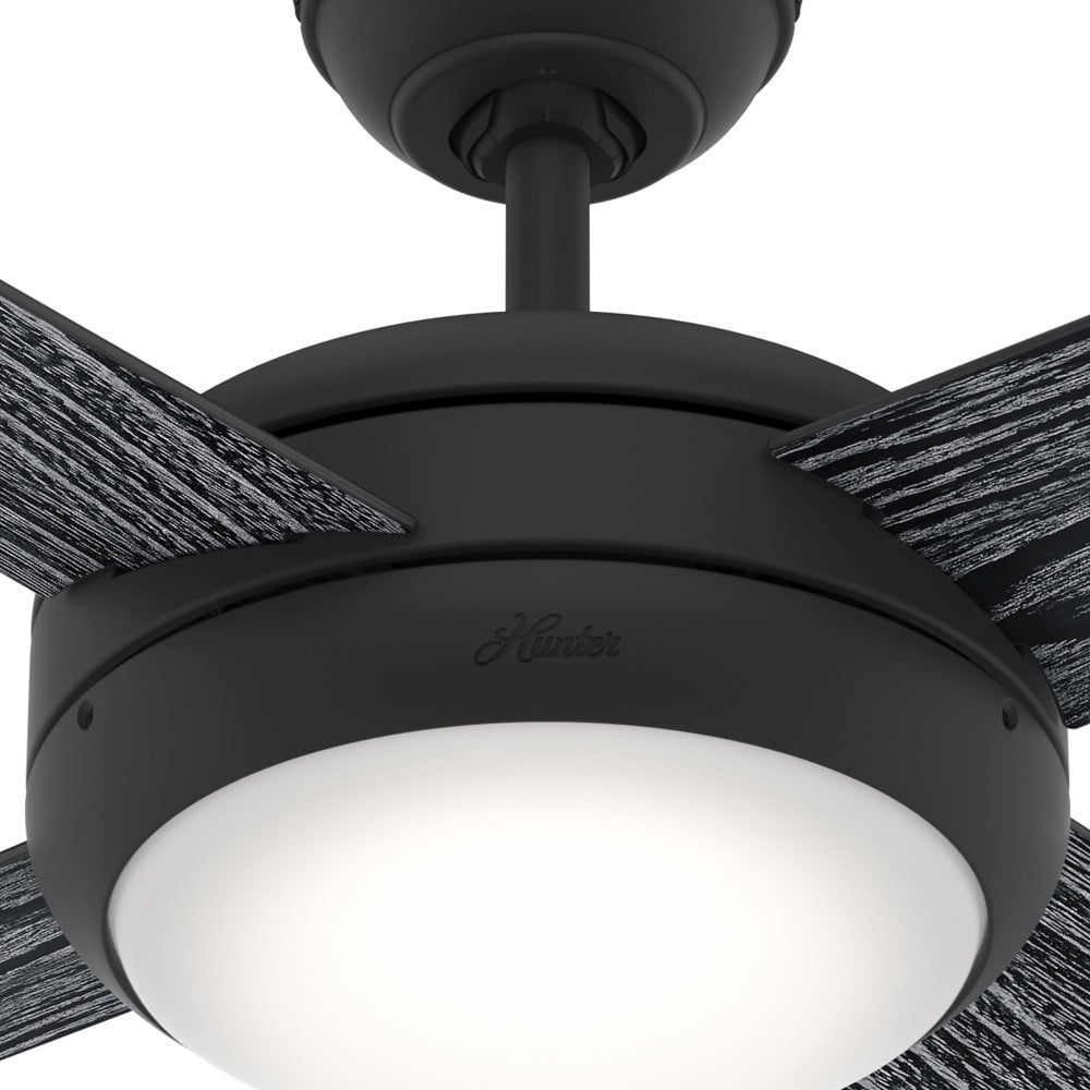 {"pim_id":"166_50849_product_detail_5_new_2k","sku":"166_1001051","media_type":"media"}