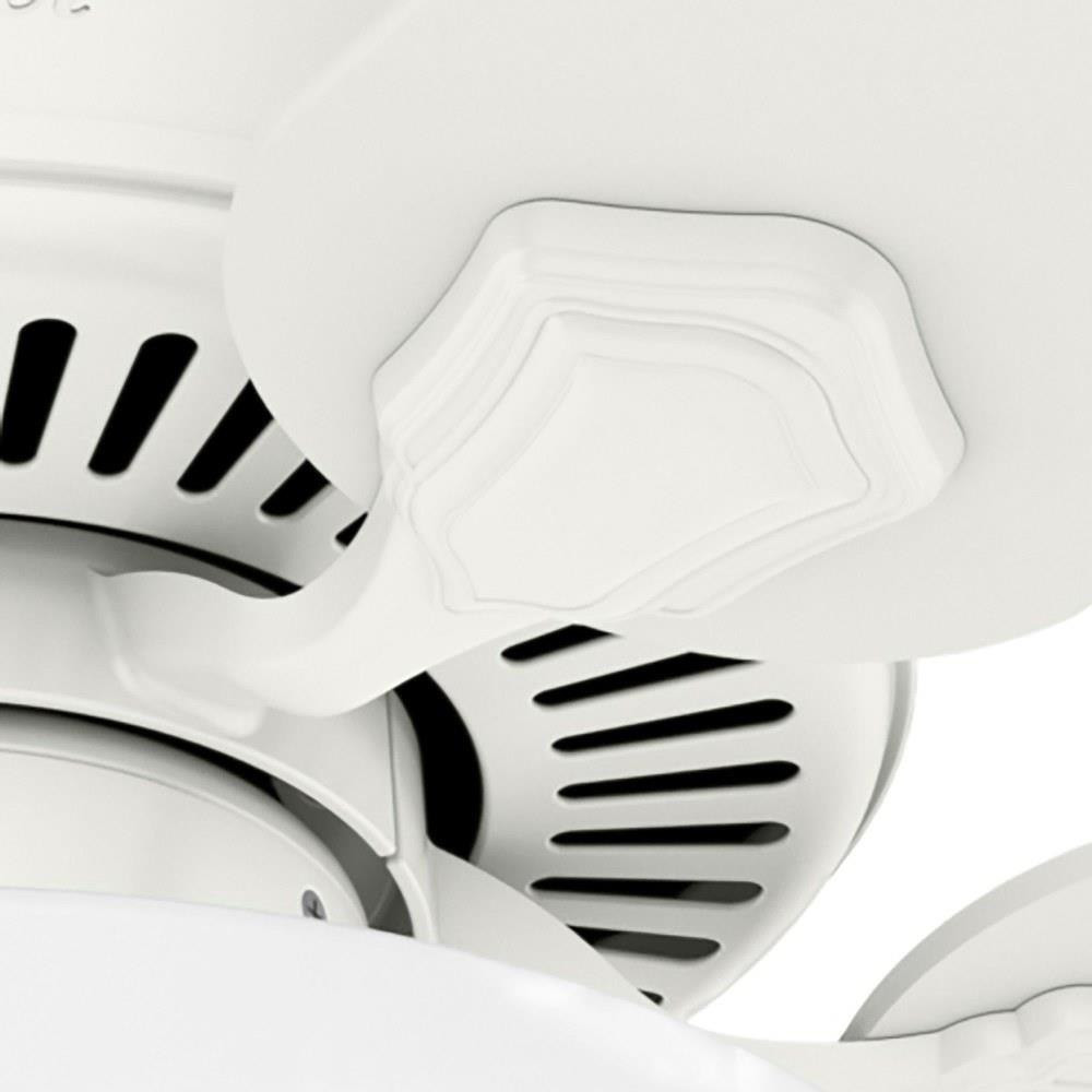 50908 | detail