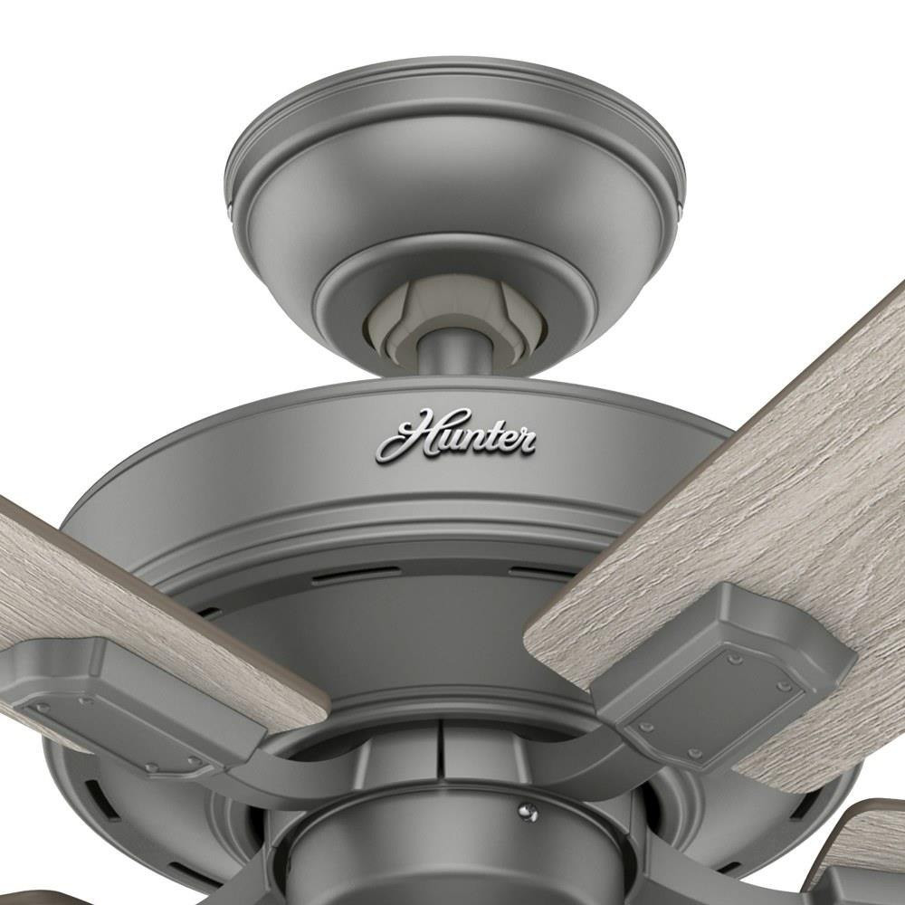 51019 | detail
