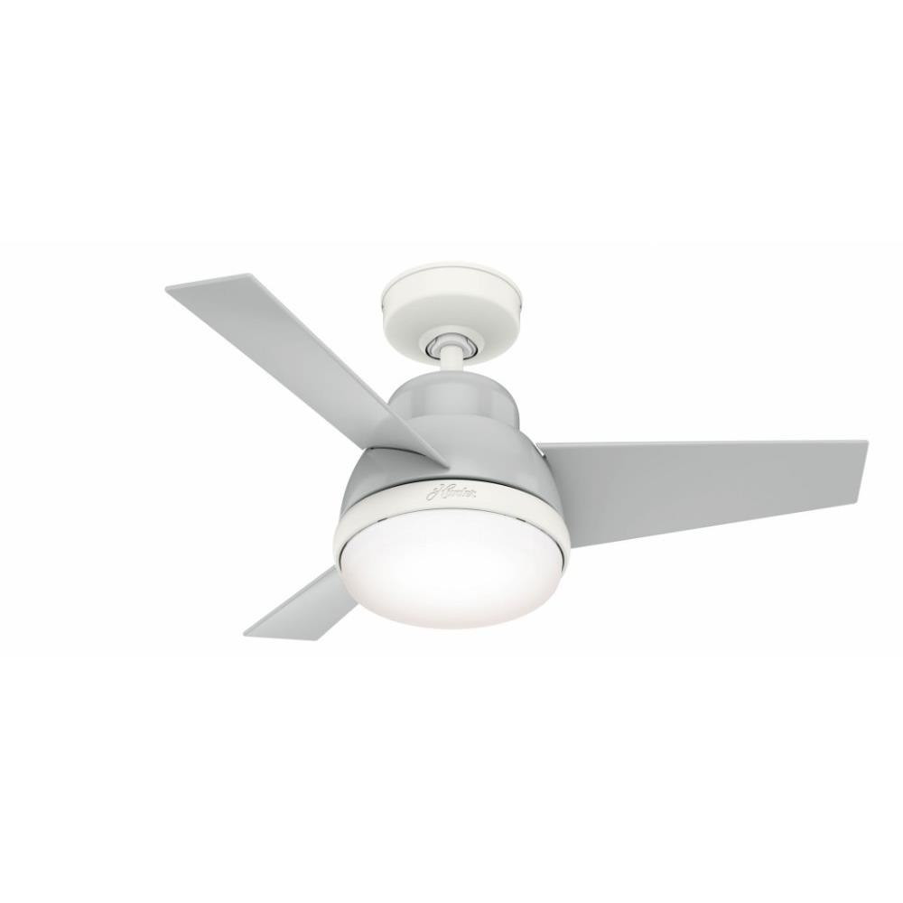 166_1000005 | Main Product Image
