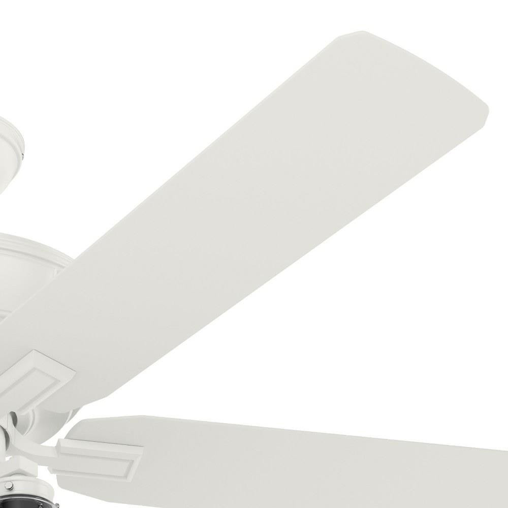 51585 | detail