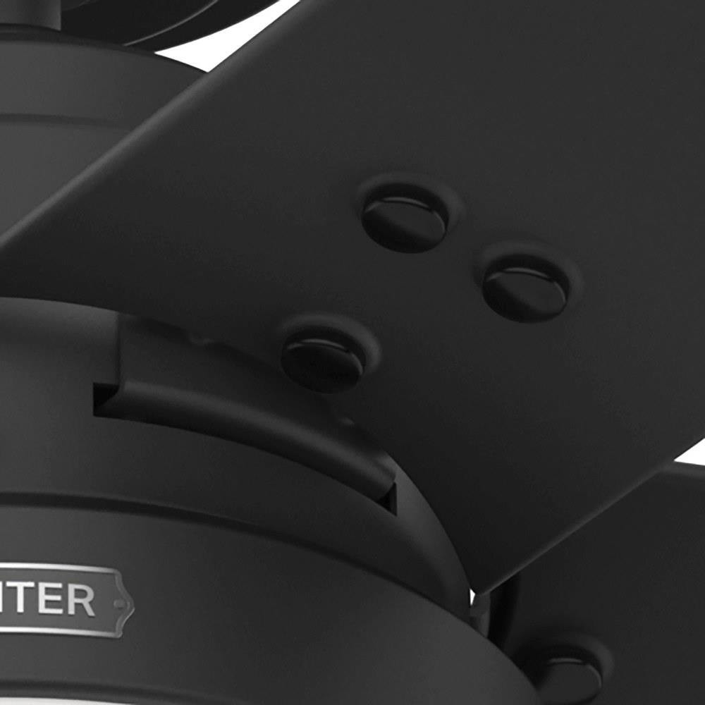 51681 | detail