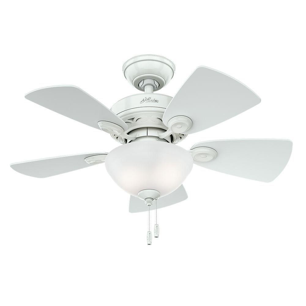 166_1000242 | Main Product Image