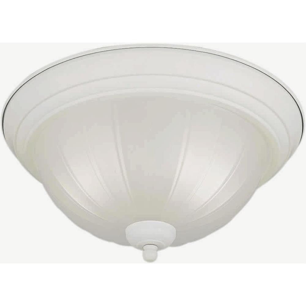 2_20000-02 | Main Product Image