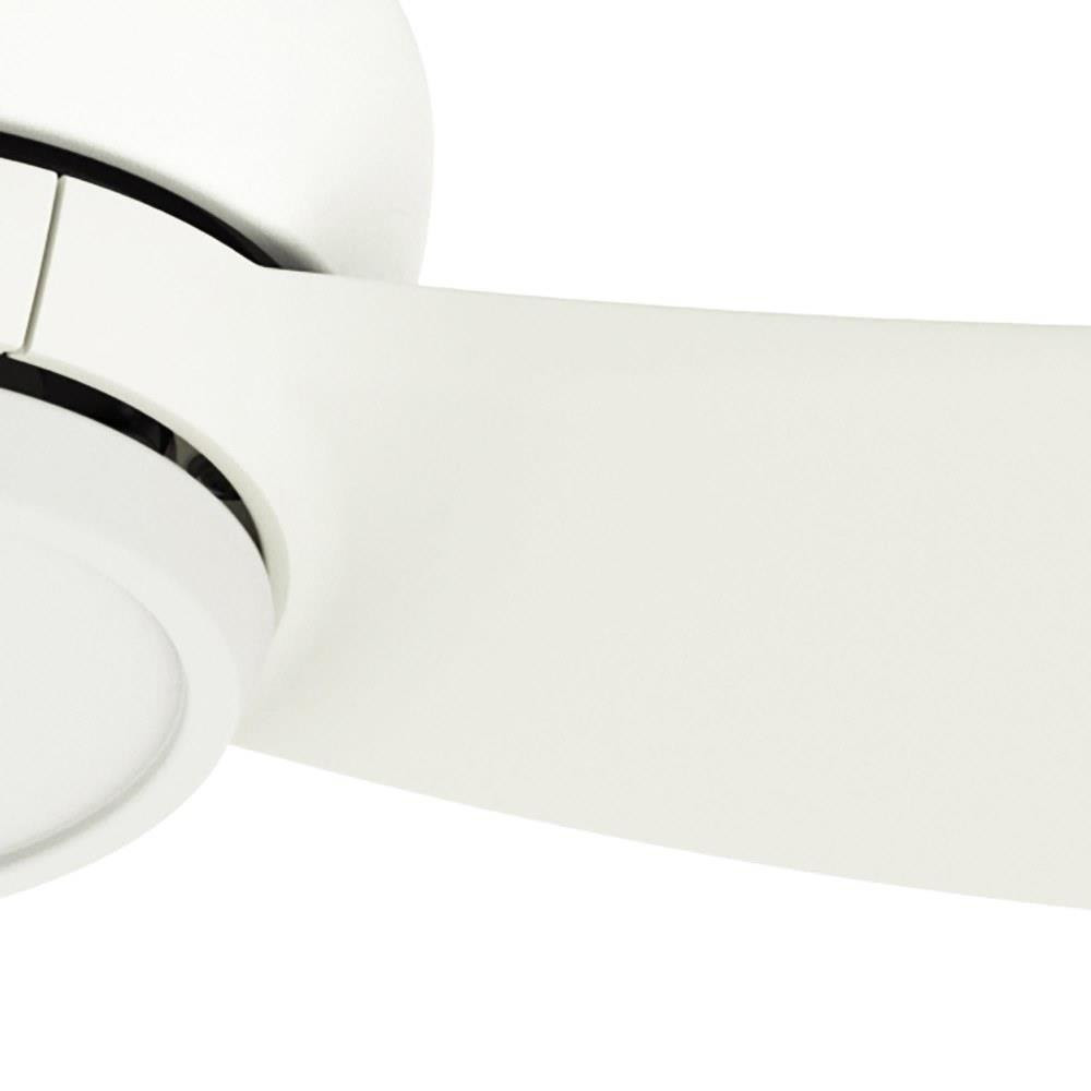 52830 | detail