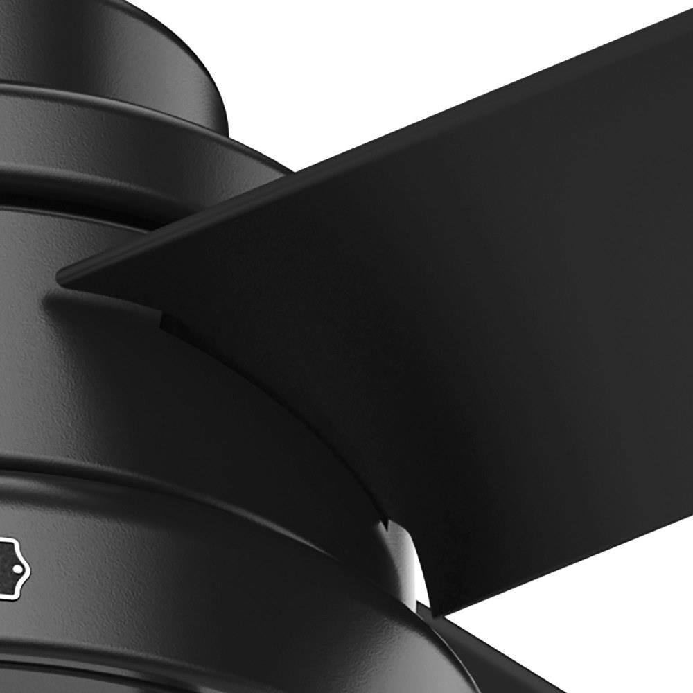 55086 | detail