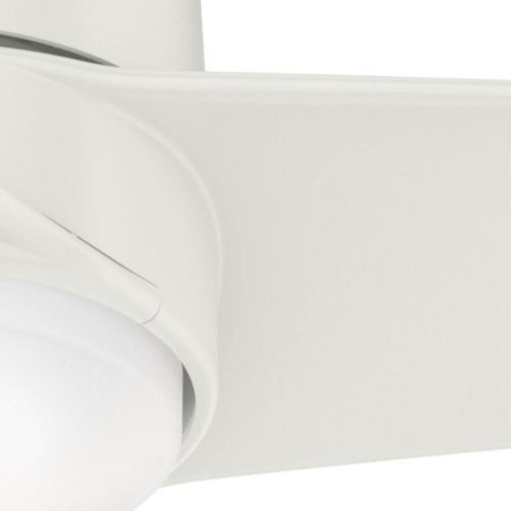 59470 | detail