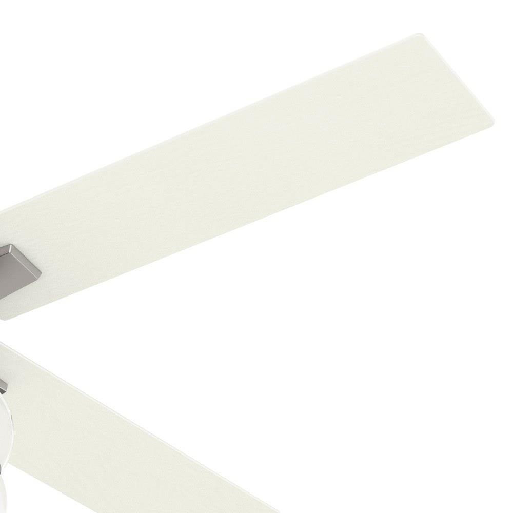 59650 | detail