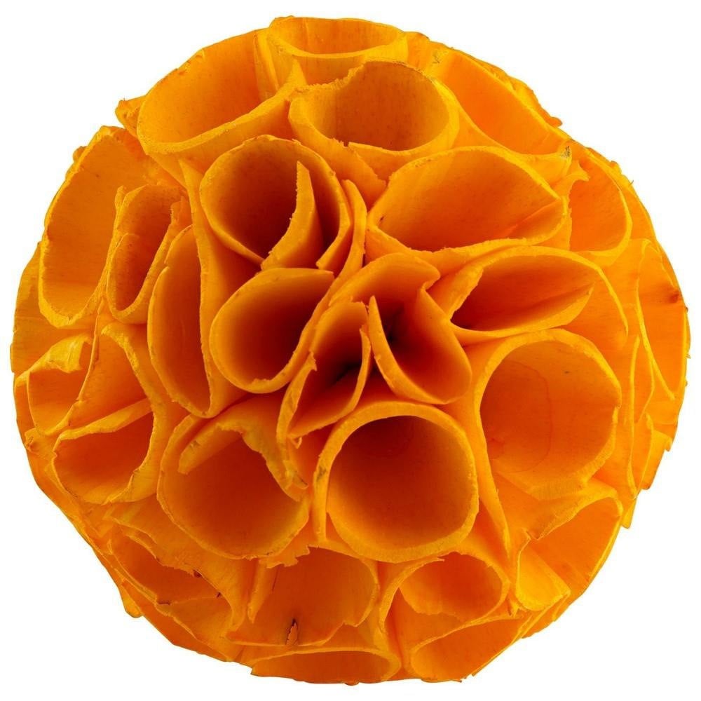 182_0755NF | Main Product Image