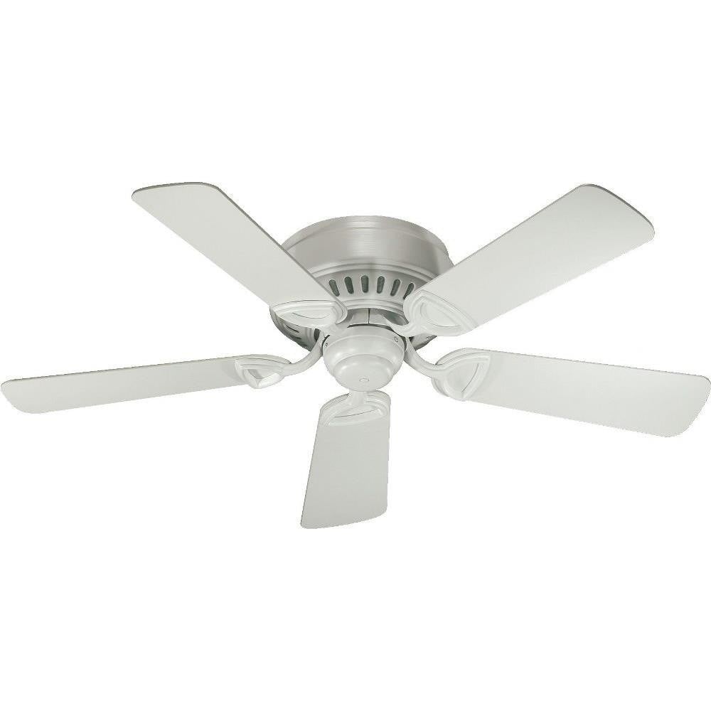 183_51425 | Main Product Image