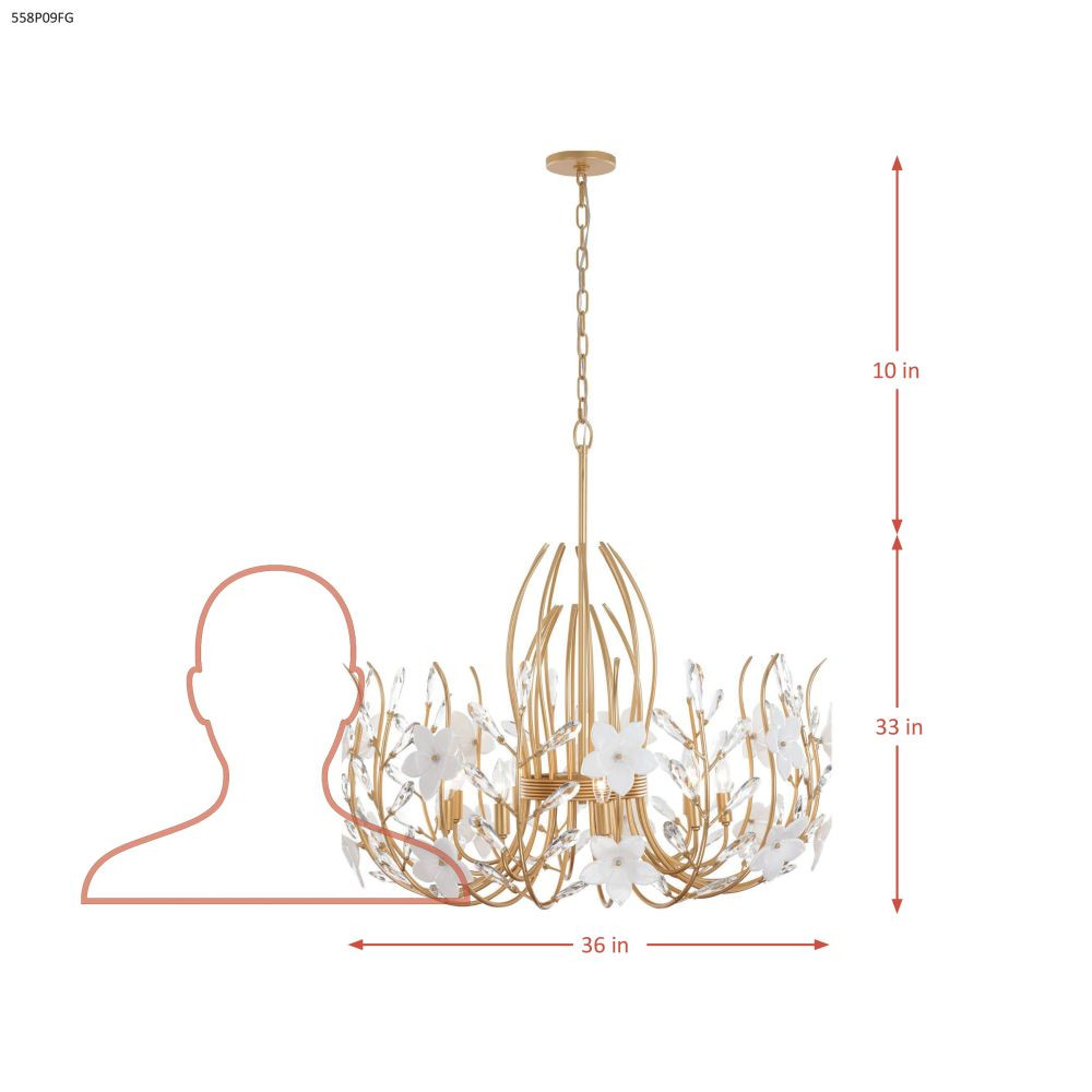 {"pim_id":"167_558p09fg_diagram_v1_1k","sku":"167_558P09FG","media_type":"media"}