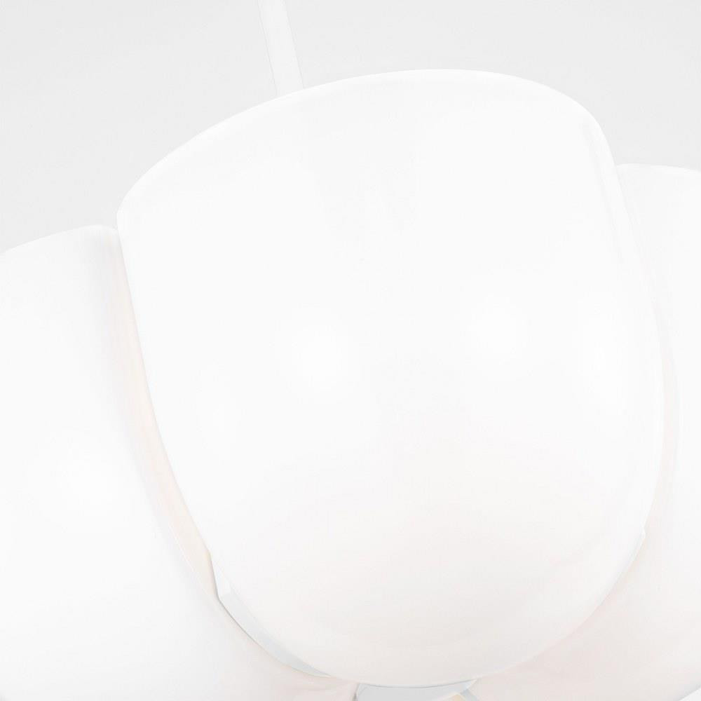 LXP1044MWT | detail