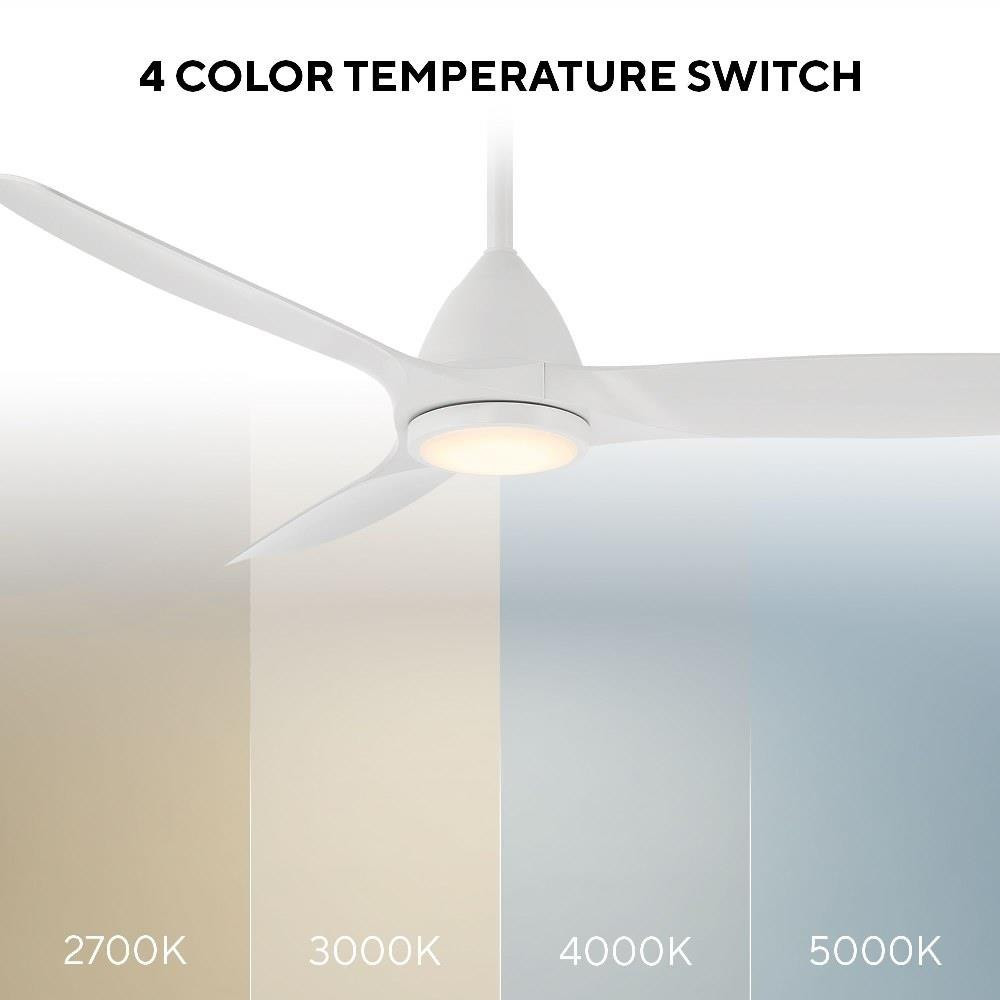 FR-W2202-54L-MW | informational