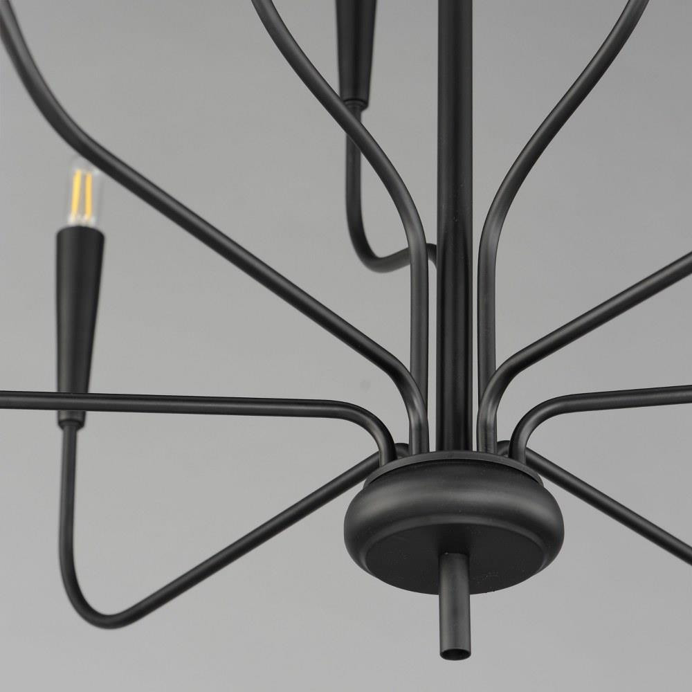 24819BK | detail