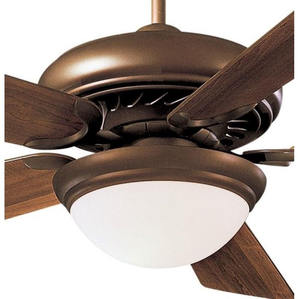 F569L-ORB | detail
