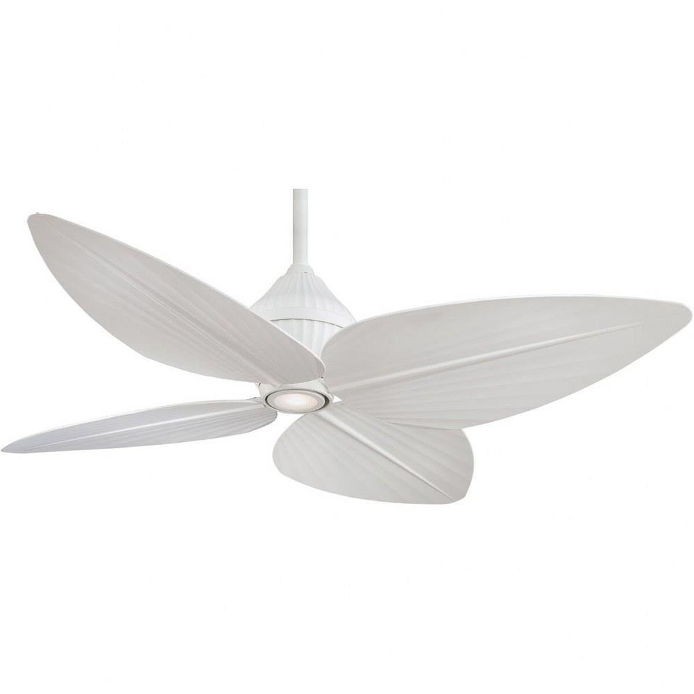 F581L-WHF | 
